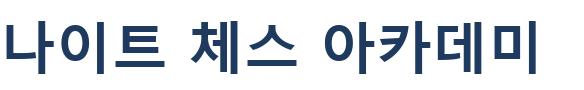나이트 체스 아카데미